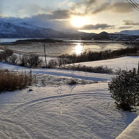 Elvebakken Daire Lyngseidet