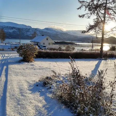 Elvebakken Daire Lyngseidet