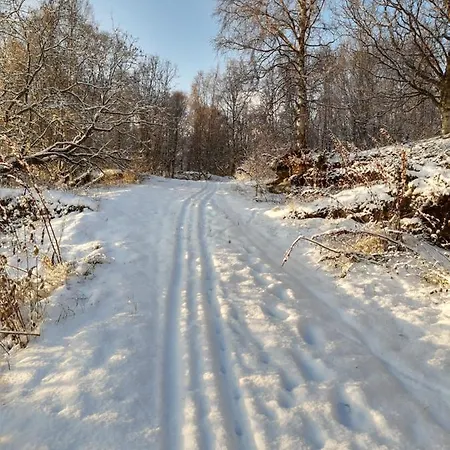 Elvebakken *
